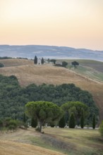 Cappella della Madonna di Vitaleta, Vitaleta chapel near Pienza at sunrise, Val d'Orcia, Province