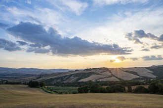 Typical Tuscan landscape in Val d'Orcia with hills, trees, fields, cypresses and farm road in