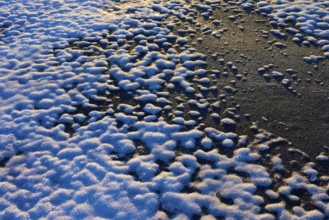 Snow cover with contrasting patterns in the light of the setting sun, winter, Wasserkuppe,