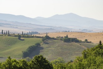 Typical Tuscan landscape in Val d'Orcia with hills, trees, fields, farmhouses and cypresses in