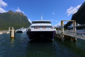 Boat trip in the harbour, surrounded by green mountains and sunny skies, summer, Milford Sound, Te