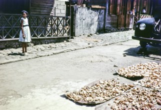 Drying copra outside houses, Soufriere, St Lucia, Windward Islands, West Indies, 1962