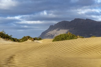 Impressive sand dunes in front of a mountain backdrop under a slightly cloudy sky, Canary Islands,