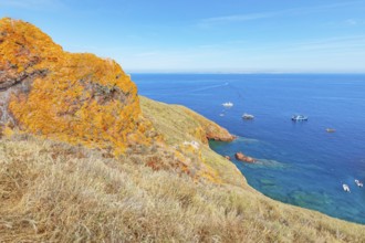 View of Berlenga island coast, Berlenga Grande Island, Portugal, Europe