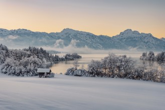 Dawn and sunrise at the wintry Forggensee in a snow-covered winter landscape in the foothills of