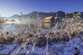 Boat huts, icy shore, lake, morning light, fog, snow, winter, mountains, Lake Kochel, Schlehdorf,