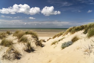 Dunes on the beach of Leffrinckoucke on the Côte d'Opale or Opal Coast, France, Europe