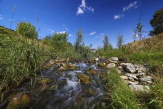 Recklinghausen, North Rhine-Westphalia, Germany, renaturalised Hellbach, renaturalised watercourse,