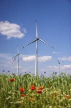 Lichtenau, North Rhine-Westphalia, Germany, wind farm in agricultural landscape, flower strips in