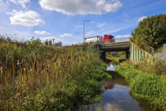 Bottrop-Gladbeck, North Rhine-Westphalia, Germany, Renaturalised Boye, the tributary of the