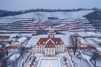 Aerial view of Wackerbarth Castle with castle park, belvedere and vineyards with snow and Christmas