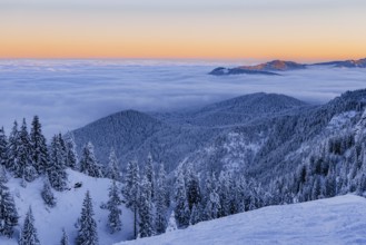 Sunrise snow tour on the Tegelberg in the Allgäu in Bavaria. Winter Wonder Land, Germany, Europe