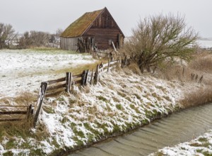 Old traditional wooden barn and fencing, in snow covered landscape, at the end of March, island of