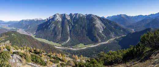 Autumnal mountain forest, yellow-coloured larches, ascent to the Große Arnspitze, view of mountain