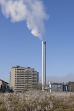 High chimney with smoke emission, residential building and frosty bushes, residential building,