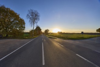 Country road, cycle path, trees, fields, backlight, sunset, intersection of country road L215 with