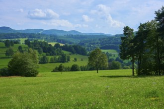 Green hilly landscape with trees and meadows under a partly cloudy sky, Gersfeld, Rhön, Hesse,