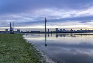 View of the Rhine knee bridge over the Rhine near Düsseldorf, Media Harbour, from the Rhine meadows