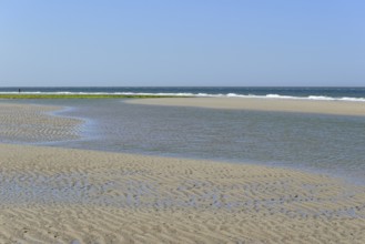 Beach at low tide with wave-like structure, current ripples in wet sand, blue sky, North Sea,