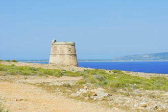 Punta Prima, Formentera, Baleric Islands, Spain, Europe