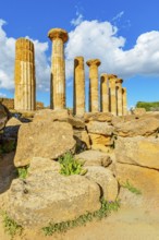 Valley of Temples, Agrigento, Sicily, Italy, Europe