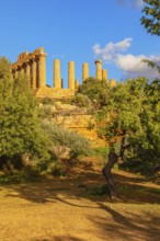 Temple of Juno, Valley of Temples, Agrigento, Sicily, Italy, Europe