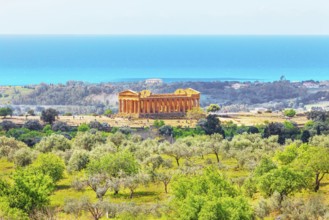 Temple of Concordia, Valley of Temples, Agrigento, Sicily, Italy, Europe