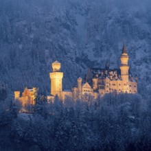 Illuminated castle in the middle of a snow-covered forest against a dark mountain backdrop,