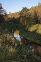 Bottrop, North Rhine-Westphalia, Germany - Renaturalised Boye in autumn, the tributary of the