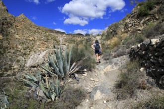 Woman walking Ruta del Agua to Huebro, Sierra Alhamilla mountains, Nijar, Almeria, Spain, Europe