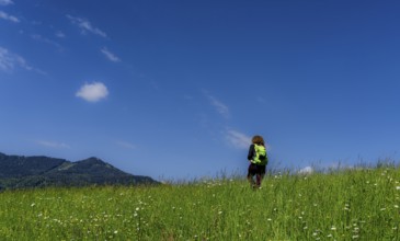 Hiker in a meadow on a mountain, Bad Vigaun, Austria, Europe