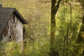 Iserlohn. This year's unusually warm weather in April has already given us a May. Nature exploded