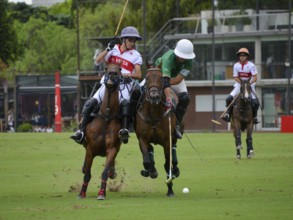 Scene from the 131st Argentine Open Polo Championship (Spanish: Campeonato Argentino Abierto de