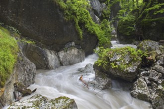 The river Weißbach running through the Seisenbergklamm, Seisenbachklamm, gorge near Weißbach bei