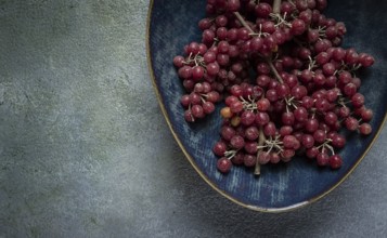 Shtoshi berry, Shepherd's pie, a hybrid of sea buckthorn and barberry, top view, no people