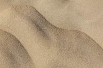 Sand structures, Background, Texture, Fuerteventura, Canary Islands, Spain, Europe