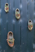 Planted shoes as decoration, wooden gate, Oosterend, North Sea island of Texel, North Holland,