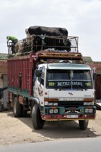 Cattle truck with cows and sheep on the roof, Morocco, Africa