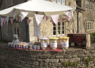 Dog and garden produce stall and street in the village of Lacock, Wiltshire, England, UK