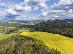 The Lilienstein and the Königstein Fortress in Saxon Switzerland. ., Königstein, Saxony, Germany,