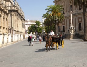 Horse and carriage rides for tourists through the historic central areas of Seville, Spain, Europe