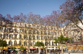 People enjoying a sunny spring afternoon in Plaza de la Merced, Malaga Spain