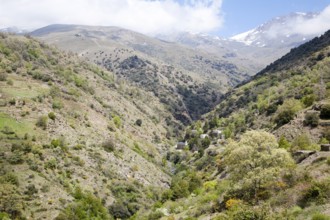 Landscape of the River Rio Poqueira gorge valley, High Alpujarras, Sierra Nevada, Granada Province,