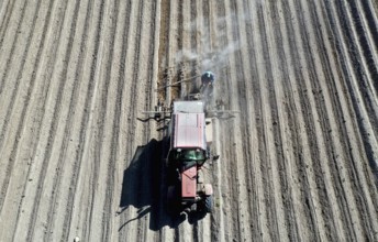 Tractor dragging a plume of dust behind it while working a potato field, Münchenberge, 20/05/2020