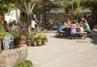 People eating ice cream at Roskilly's farm, near St Keverne, Lizard Peninsula, Cornwall, England,