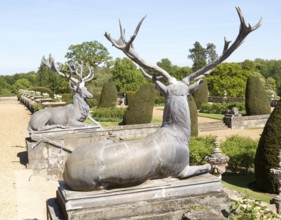 Deer stags sculpture terrace garden Bowood House and gardens, Calne, Wiltshire, England, UK