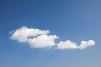 White fleecy clouds adorn the blue sky