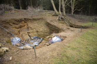 Geological excavation site at the Rockhall Wood Pit SSSI site, Sutton, Suffolk, England, United