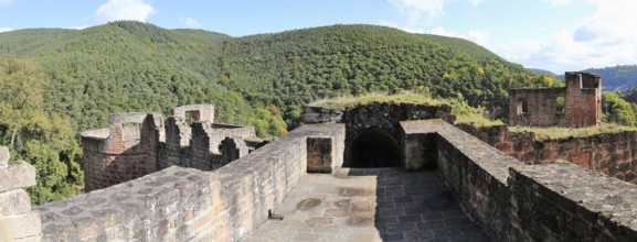 Hardenburg Castle in the Palatinate Forest near Bad Dürkheim on the Wine Route