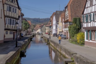 Historic houses on the Faubourg du Bitche, which runs along both sides of the Lauter Canal,